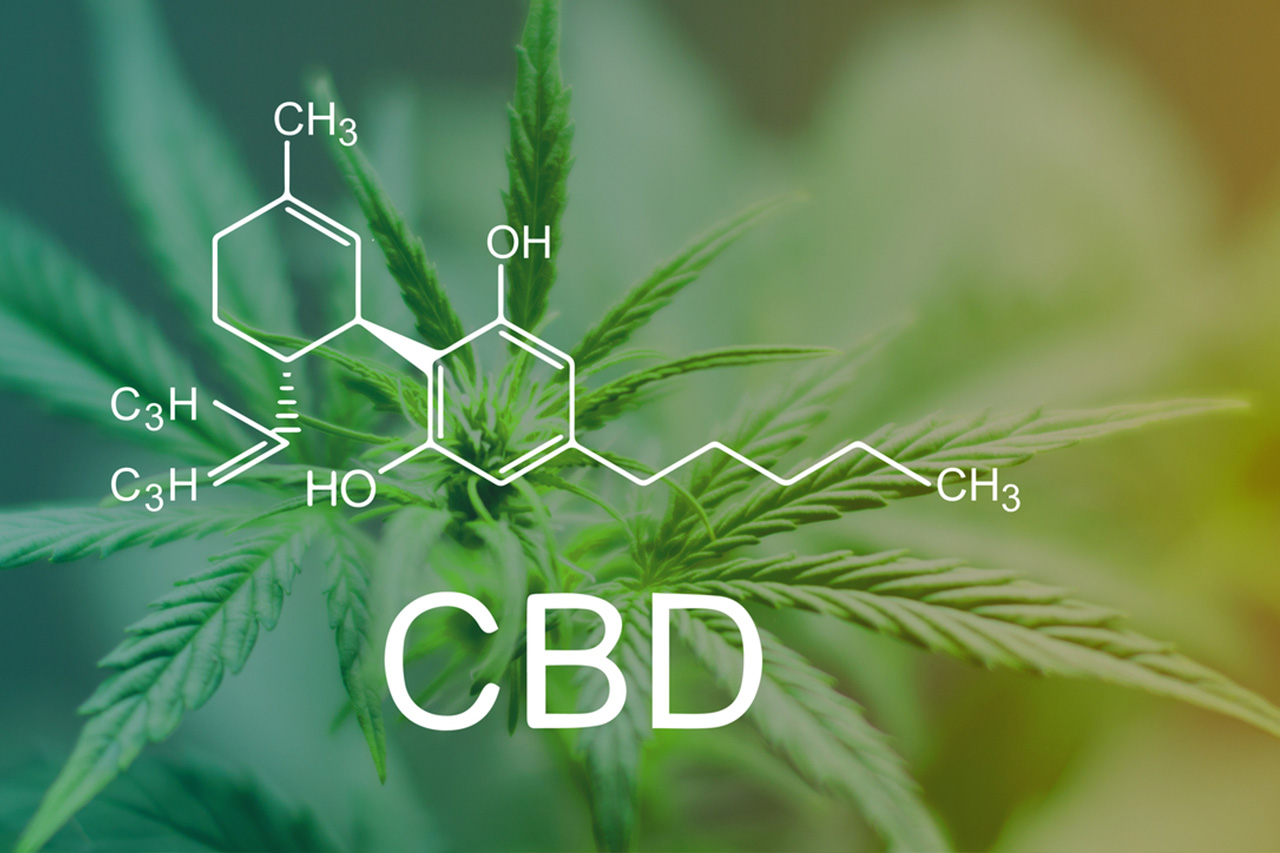 Discovering How CBD Can Transform